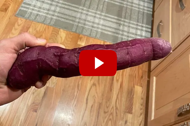 EnlargePenisForever2